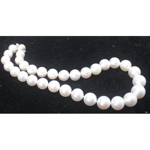 1141 - An impressive Wai Kee cultured pearl and 18ct white gold necklace, consisting of 31 graduated cultur... 