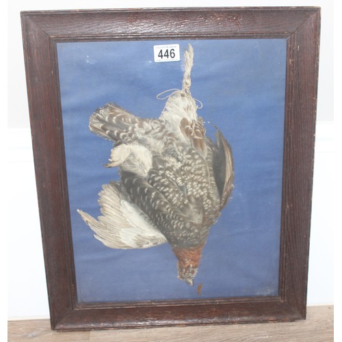 446 - Antique French decoupage/cut-out print of the plumage of the English Grouse 