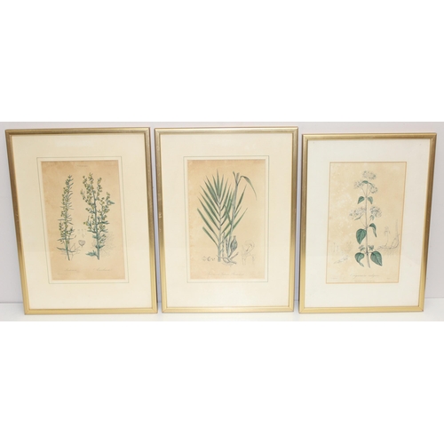 595 - 13 assorted hand coloured antique botanical prints, all framed, to include examples by Sowerby, Nevi... 