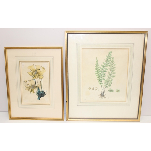 595 - 13 assorted hand coloured antique botanical prints, all framed, to include examples by Sowerby, Nevi... 