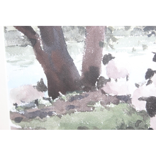 492 - Ken Hayes (British, 1962 - ): Original watercolour of some sheep under a shady tree, signed bottom l... 