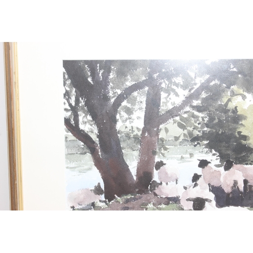 492 - Ken Hayes (British, 1962 - ): Original watercolour of some sheep under a shady tree, signed bottom l... 