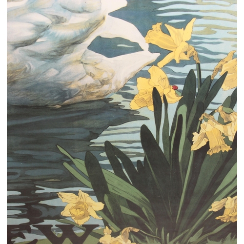 517 - Vintage style Kew Gardens black-necked Swans poster by Emilio Camilio Leopoldi Tafani, original comm... 