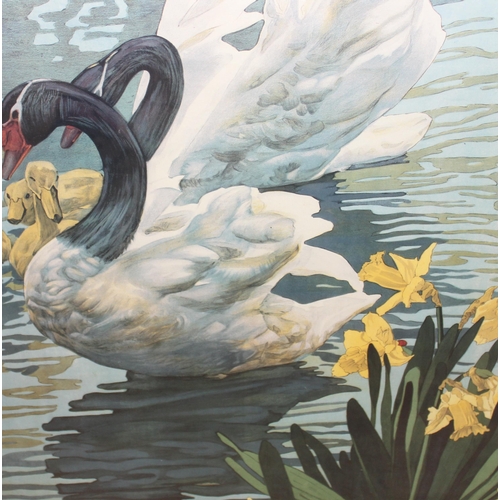 517 - Vintage style Kew Gardens black-necked Swans poster by Emilio Camilio Leopoldi Tafani, original comm... 