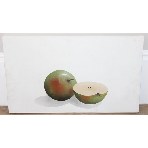 544 - An unusual still life painting on board of apples, seemingly unsigned, approx 76cm x 45cm