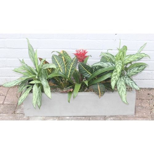 380 - A grey fiberglass garden trough planter complete with soil, stones and plants, approx 72cm wide x 20... 