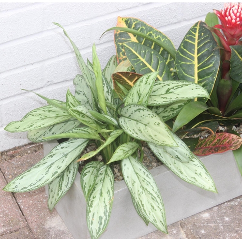 380 - A grey fiberglass garden trough planter complete with soil, stones and plants, approx 72cm wide x 20... 