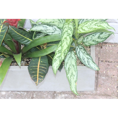 380 - A grey fiberglass garden trough planter complete with soil, stones and plants, approx 72cm wide x 20... 