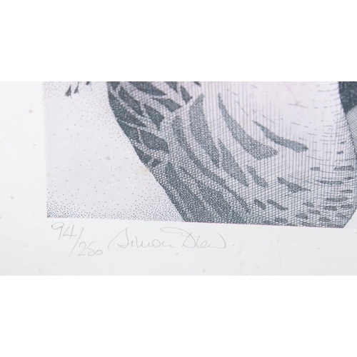 619 - Simon Drew, signed limited edition print of birds entitled 