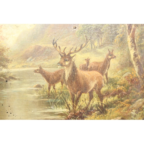 367 - Antique oil on canvas in gilt frame of stags in the forest, indistinctly signed lower right, in orna... 