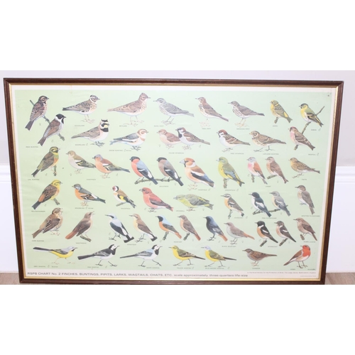 383 - A pair of vintage RSPB framed prints of British birds, printed by Balding & Mansell, each approx 92c... 