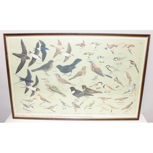 383 - A pair of vintage RSPB framed prints of British birds, printed by Balding & Mansell, each approx 92c... 