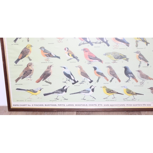 383 - A pair of vintage RSPB framed prints of British birds, printed by Balding & Mansell, each approx 92c... 