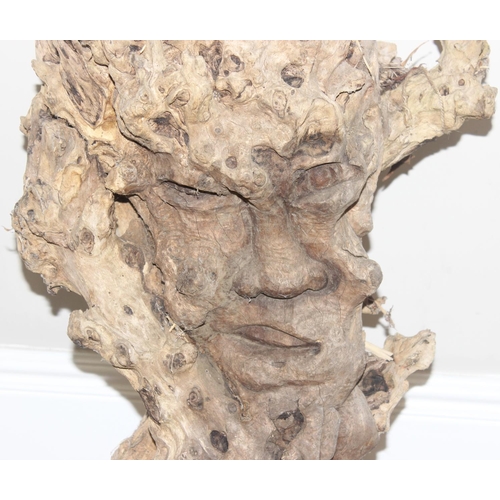 324 - A large carved abstract wooden root carving, approx 100cm tall