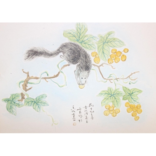 390 - 3 assorted vintage Chinese watercolours in ebonised frames, subjects to include Possum with Fruit, B... 