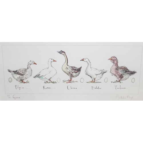 408 - Madeleine Floyd (British, 1969-) limited edition print entitled 'Geese' 105/195 with COA verso and a... 