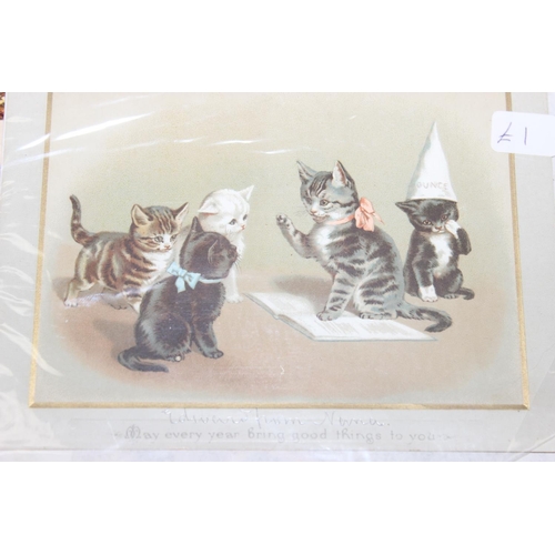 557 - A large qty of assorted Victorian scrapbook or decoupage cut outs, mainly of cats and animals