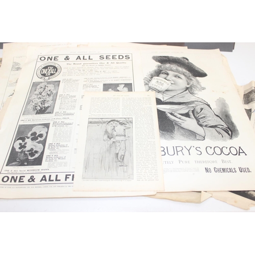 558 - Qty of assorted mixed ephemera to inc antique Louis Wain prints and a number of vintage mounted phot... 