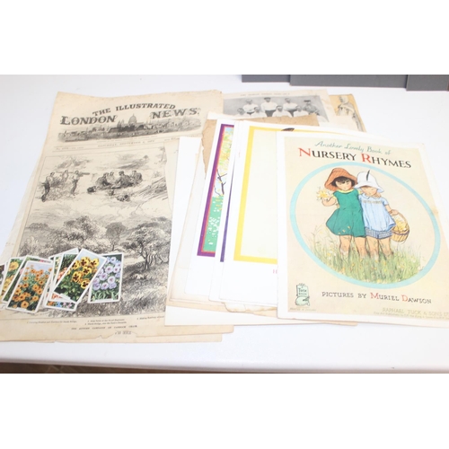 558 - Qty of assorted mixed ephemera to inc antique Louis Wain prints and a number of vintage mounted phot... 