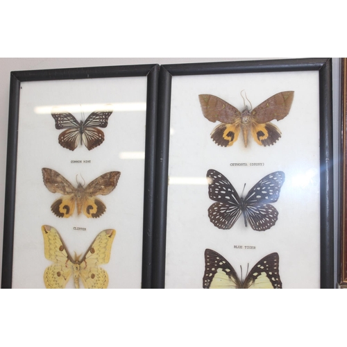 1517 - 6 assorted framed vintage taxidermy butterfly and moth displays, the largest approx 54cm x 26cm