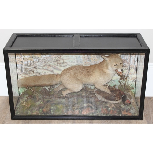 1546 - Vintage taxidermy study of a fox and pheasant in a realistic setting in glazed display case, approx ... 