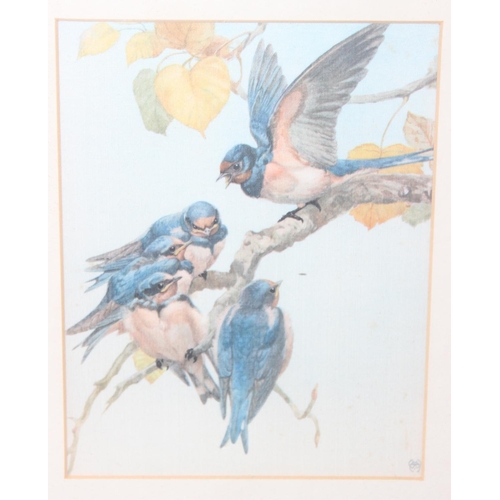 418 - After Edward Julius Detmold (1883 - 1957), a set of 6 vintage prints of birds on fabric presented in... 