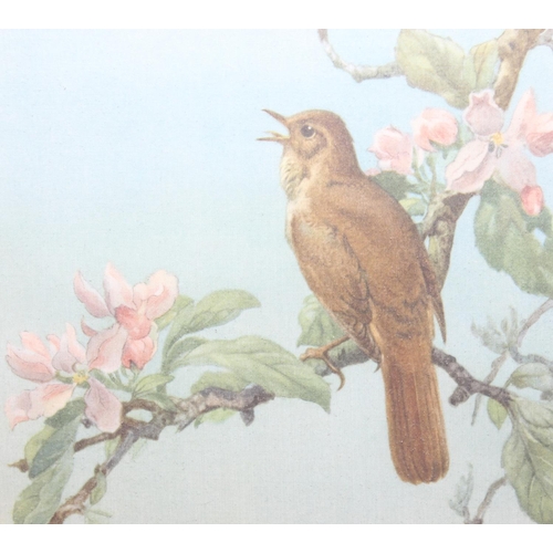 418 - After Edward Julius Detmold (1883 - 1957), a set of 6 vintage prints of birds on fabric presented in... 