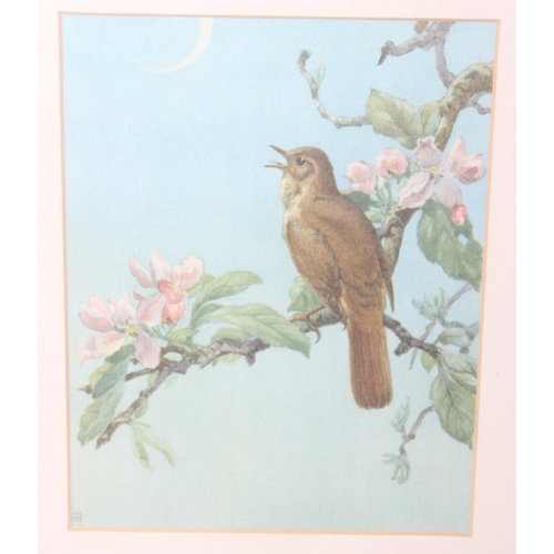 418 - After Edward Julius Detmold (1883 - 1957), a set of 6 vintage prints of birds on fabric presented in... 