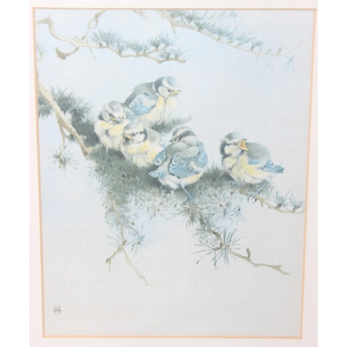 418 - After Edward Julius Detmold (1883 - 1957), a set of 6 vintage prints of birds on fabric presented in... 