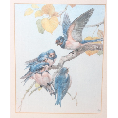 418 - After Edward Julius Detmold (1883 - 1957), a set of 6 vintage prints of birds on fabric presented in... 