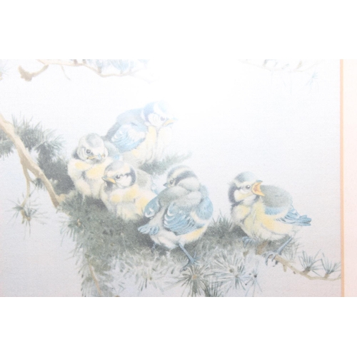 418 - After Edward Julius Detmold (1883 - 1957), a set of 6 vintage prints of birds on fabric presented in... 