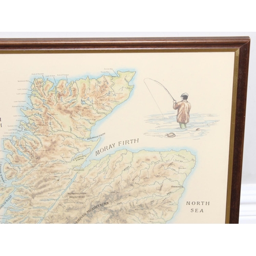 449 - A vintage The Salmon Rivers of Scotland by Nigel Houldsworth Map print, presented in frame, approx 6... 