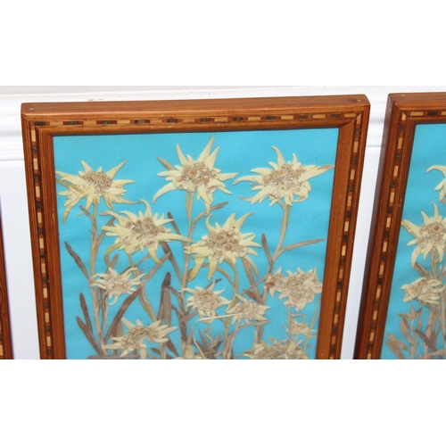 468 - 3 dried flower displays in decorative parquetry glazed frames, approx 36cm x 26cm