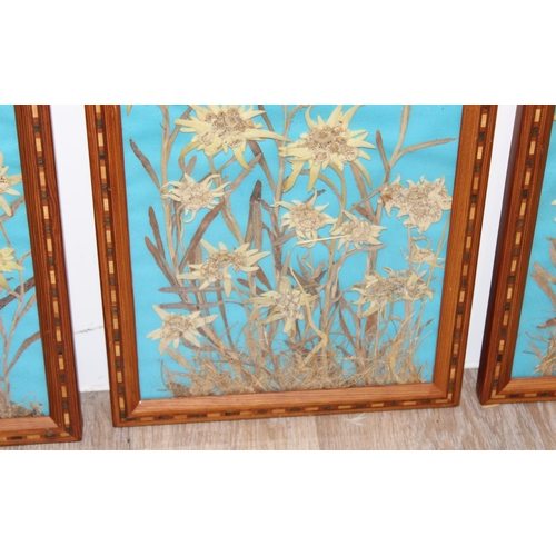 468 - 3 dried flower displays in decorative parquetry glazed frames, approx 36cm x 26cm