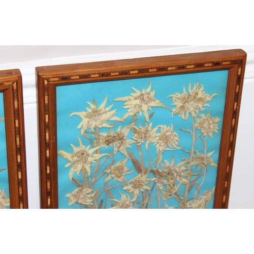 468 - 3 dried flower displays in decorative parquetry glazed frames, approx 36cm x 26cm