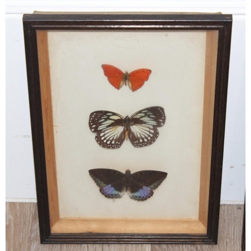 1517A - Mix of vintage taxidermy studies of butterflies and moths, in glazed display frames, largest approx ... 