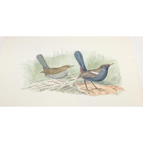 475 - Qty of hand-painted pictures of birds to incl one on silk, largest approx 32cm x 25cm