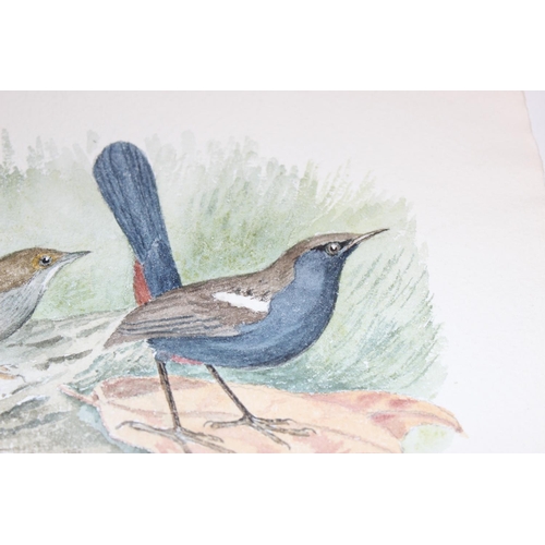 475 - Qty of hand-painted pictures of birds to incl one on silk, largest approx 32cm x 25cm