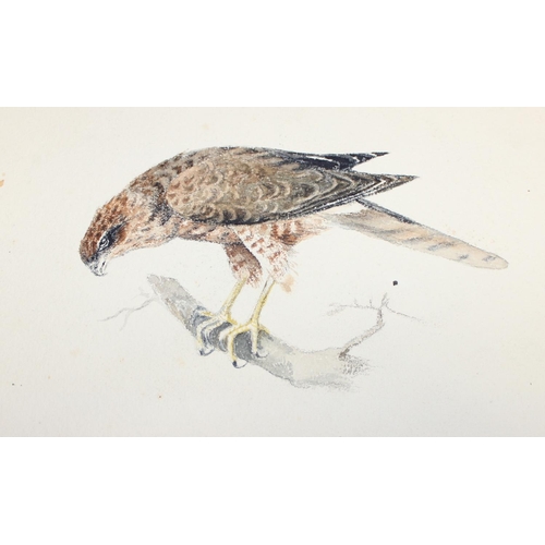 475 - Qty of hand-painted pictures of birds to incl one on silk, largest approx 32cm x 25cm