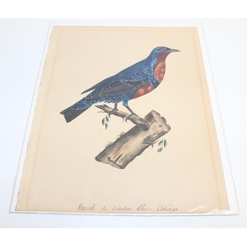 475 - Qty of hand-painted pictures of birds to incl one on silk, largest approx 32cm x 25cm