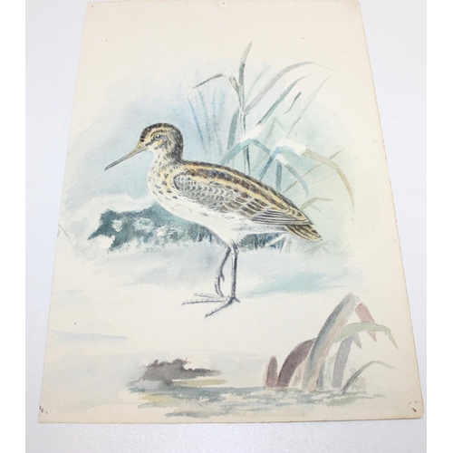 475 - Qty of hand-painted pictures of birds to incl one on silk, largest approx 32cm x 25cm