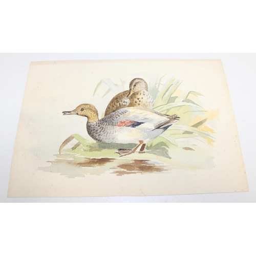 475 - Qty of hand-painted pictures of birds to incl one on silk, largest approx 32cm x 25cm