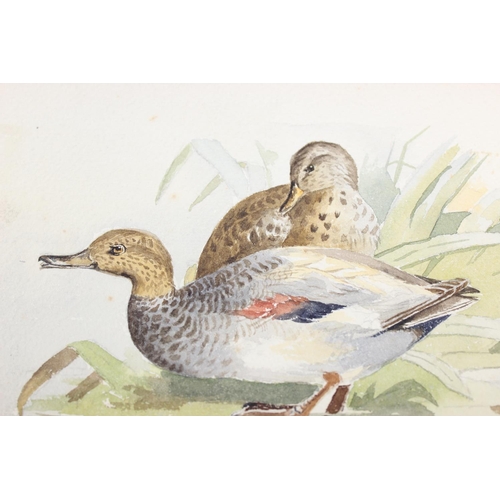 475 - Qty of hand-painted pictures of birds to incl one on silk, largest approx 32cm x 25cm