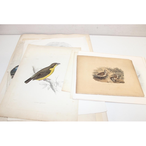 476 - Qty of antique and later printed plates of birds, to incl examples by J. Smit, I. Chapman, Kippin et... 