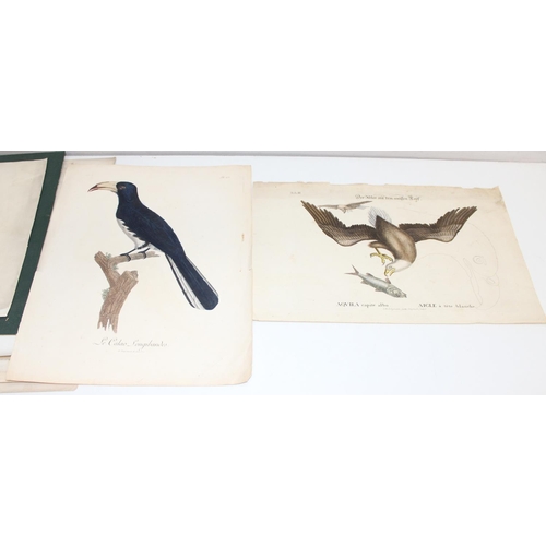 476 - Qty of antique and later printed plates of birds, to incl examples by J. Smit, I. Chapman, Kippin et... 