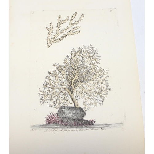 478 - Assorted coloured book plate prints to incl hand-coloured examples from The Natural History of Briti... 