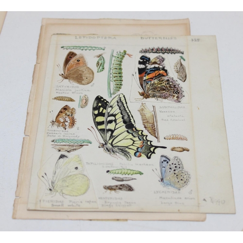 479 - Assorted antique coloured book plate prints/lithographs of butterflies and moths to incl examples by... 