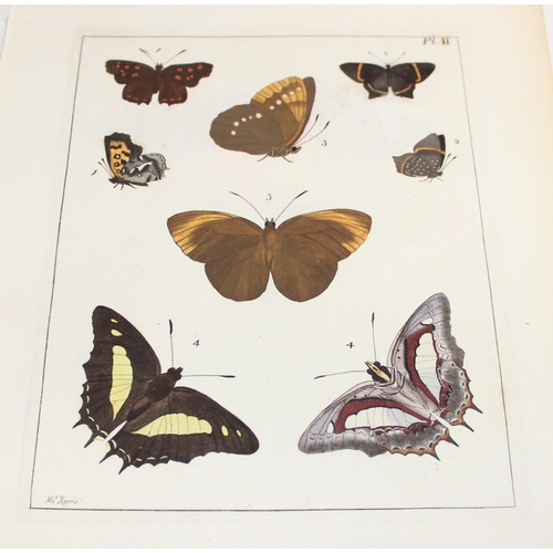 479 - Assorted antique coloured book plate prints/lithographs of butterflies and moths to incl examples by... 