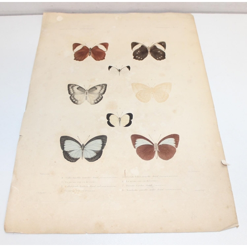 479 - Assorted antique coloured book plate prints/lithographs of butterflies and moths to incl examples by... 