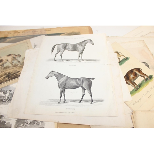 480 - Qty of antique and later book plate prints/lithographs, mostly animal themed to incl examples by R. ... 